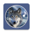 icon Wollves 42.0