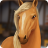 icon HorseHotel 1.8.4.156