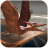 icon Pteranodon Simulator 1.0.3