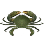 icon Crab
