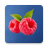 icon RaspberryMeet 1.10