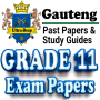 icon Grade 11 Gauteng Past Papers