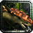 icon Dinosaur Safari 20.10.1