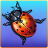 icon Bug Smasher 1.1.8