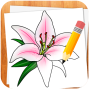 icon How to Draw Flowers