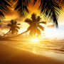 icon Beach Sunset Live Wallpaper