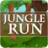 icon Jungle Run 2.0