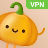 icon VPN Pumpkin 1.3.300