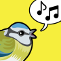icon Chirpy for Samsung S5830 Galaxy Ace