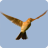 icon Bird sounds 1.18
