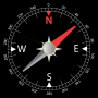 icon Digital Compass