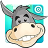 icon Donkey Quiz 3.41