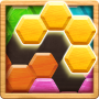 icon Wood Block Puzzle - Hexa