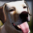 icon Dog Shelter Simulator 3D 3.0