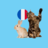 icon Animals in French 2.3