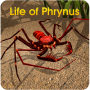 icon Life of Phrynus