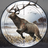 icon Deer Hunting 2 1.1.4