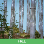 icon Bamboo Forest 3D Live Wallpaper/Screen Saver Free for oppo F1