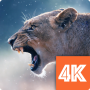 icon Animals Wallpapers 4K ? for Huawei MediaPad M3 Lite 10