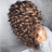 icon Curly Hairstyles 5.1.0