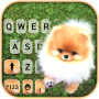 icon Cute Puppy Pom