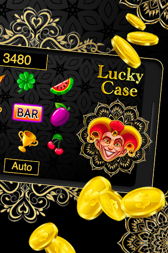 Lucky Case