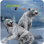 icon Tigers of the Arctic for intex Aqua A4