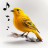 icon Bird Calls 14.0.3