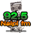 icon RADIO NAIPI 3.2.0