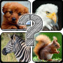 icon com.darrus2015.animalriddles.android