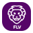 icon FLV Player for Android 1