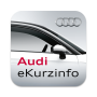 icon Audi eKurzinfo