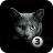 icon Find a cat 3 1.5.1