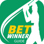 icon BetWinner Guide