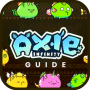 icon Axie Infinity Game Scholarship Advices