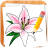 icon Draw Flowers 5.2