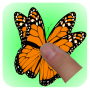 icon TouchButterfly