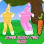 icon Guide For Super Bunny Man