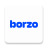 icon Borzo 1.66.0