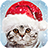 icon Christmas Photo Frames 2.1.16.461 newyear
