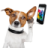 icon Dog Commander 1.10