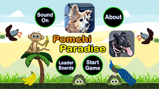 Pomchi Paradise