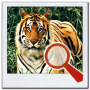icon Find It Animal