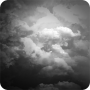 icon Virtual Storm