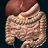 icon Organs 3D Anatomy 2.9