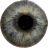 icon Eye Diagnosis 1.4.2