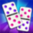 icon Domino Master 3.4.5
