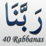 icon 40 Rabbanas (duaas of Quran)