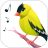 icon com.bestringtonesapps.birdcallssoundsandringtones 6.1.8