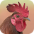 icon Rooster Sounds 2.0